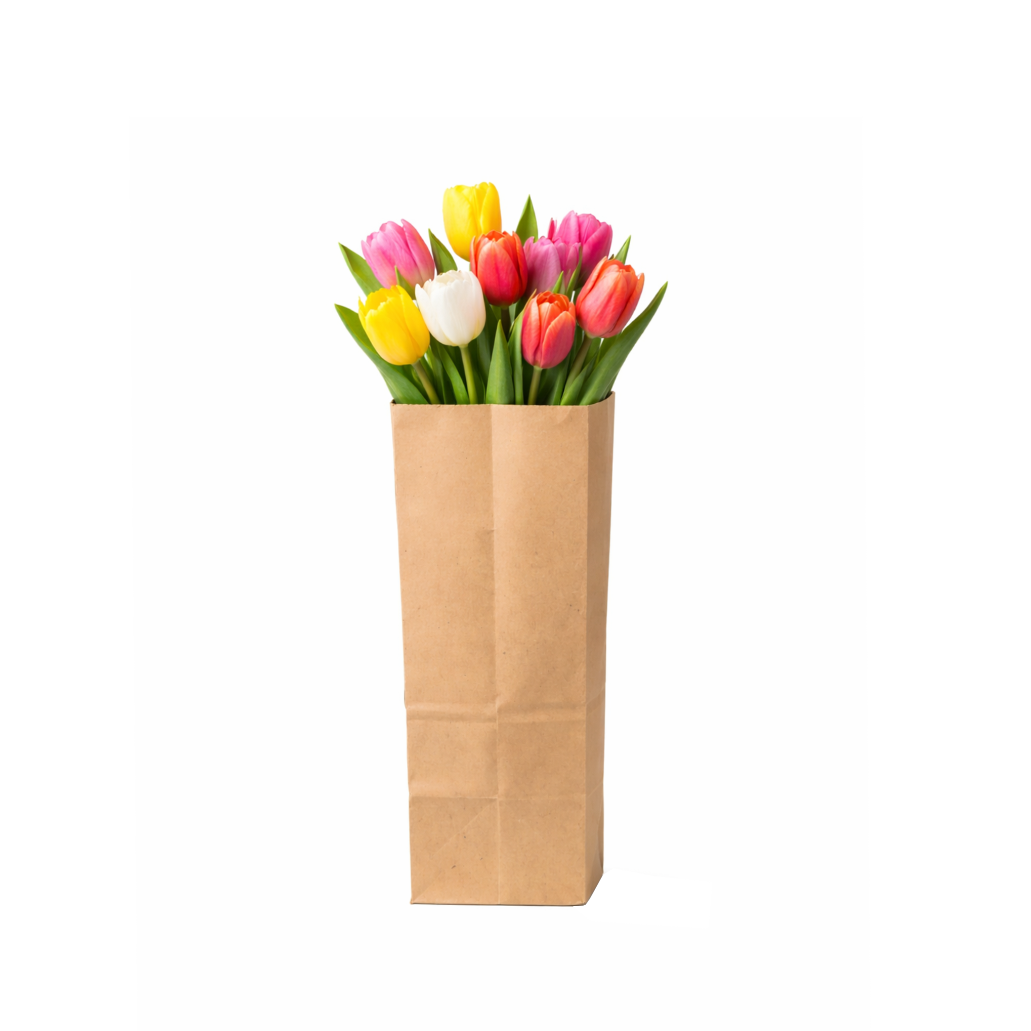 Bolsa de Papel Kraft Modelo GGK3STD